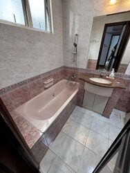 Castle Green (D26), Condominium #498748251